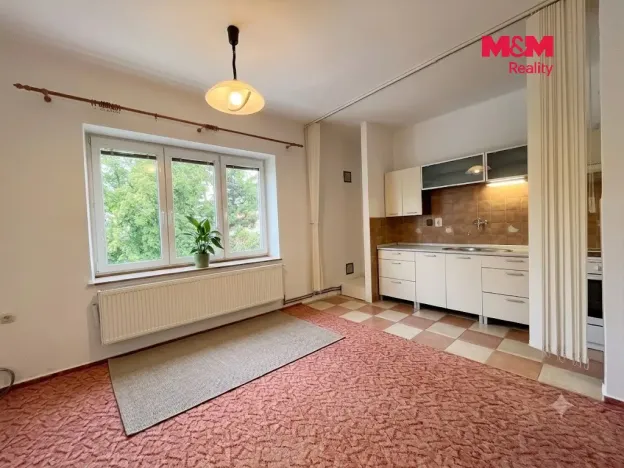 Prodej bytu 1+kk, Krnov - Pod Bezručovým vrchem, Březinova, 40 m2