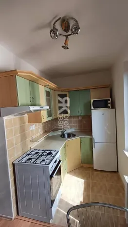 Pronájem bytu 1+1, Ostrava, Lužická, 39 m2