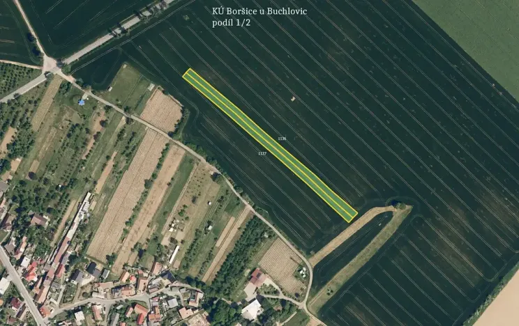 Prodej pole, Boršice, 2636 m2
