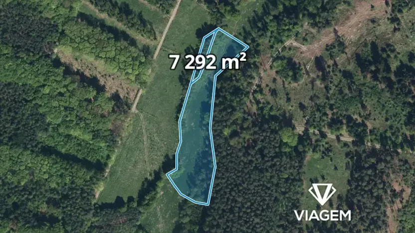 Prodej podílu pole, Morašice, 4315 m2