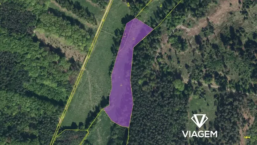 Prodej podílu pole, Morašice, 4315 m2