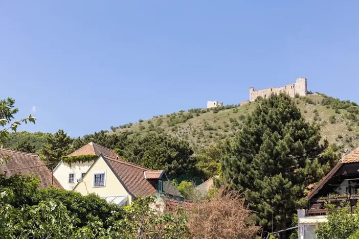 Prodej činžovního domu, Pavlov, Na Návsi, 368 m2