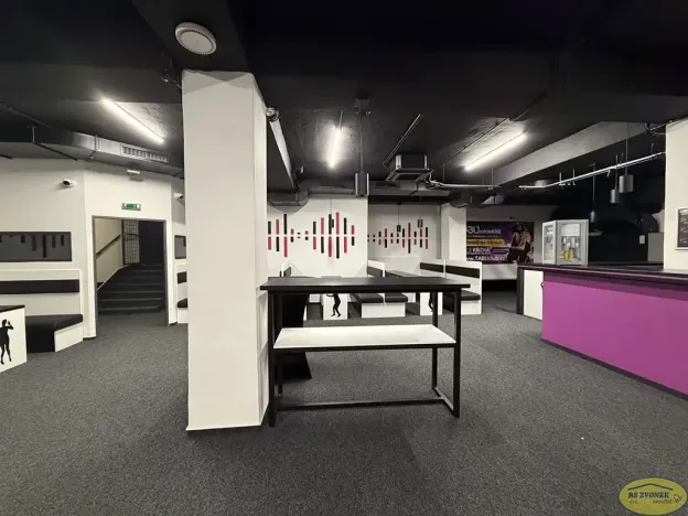 Pronájem komerční nemovitosti, Kroměříž, Křižná, 250 m2