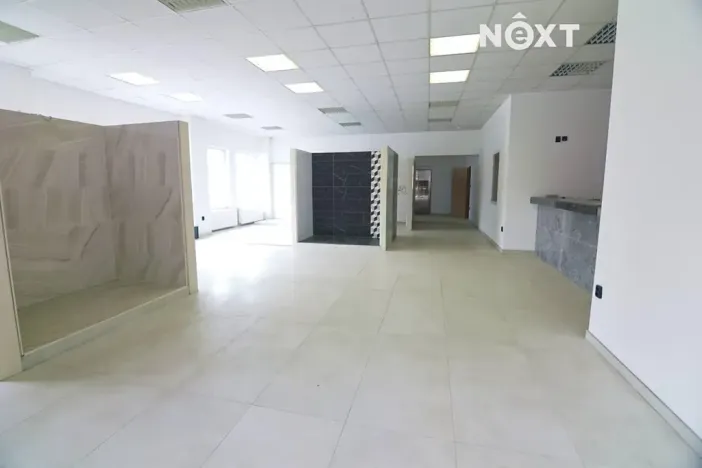 Prodej skladu, Soběslav, Wilsonova, 490 m2