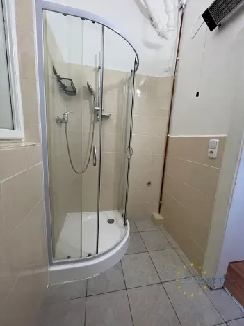 Pronájem bytu 1+1, Praha - Žižkov, Hájkova, 41 m2