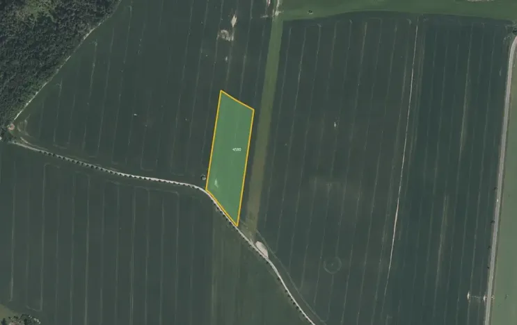 Prodej pole, Křenovice, 74956 m2