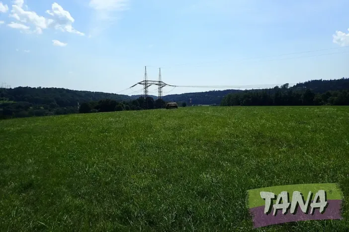 Prodej louky, Hodkovice nad Mohelkou, 49051 m2