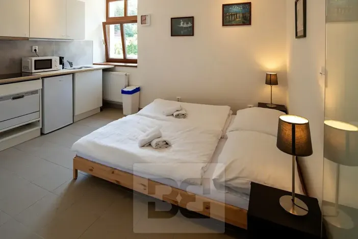 Pronájem bytu 1+kk, Karlštejn, 17 m2