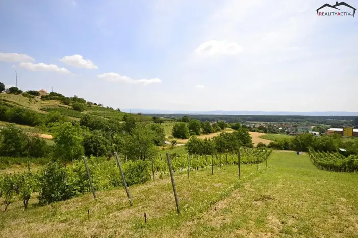 Prodej sadu/vinice, Bzenec, 2460 m2