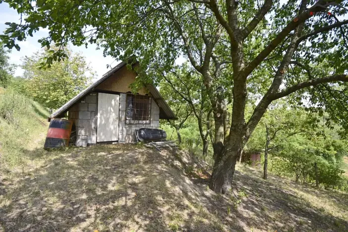 Prodej sadu/vinice, Bzenec, 2460 m2