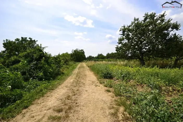 Prodej sadu/vinice, Bzenec, 2460 m2