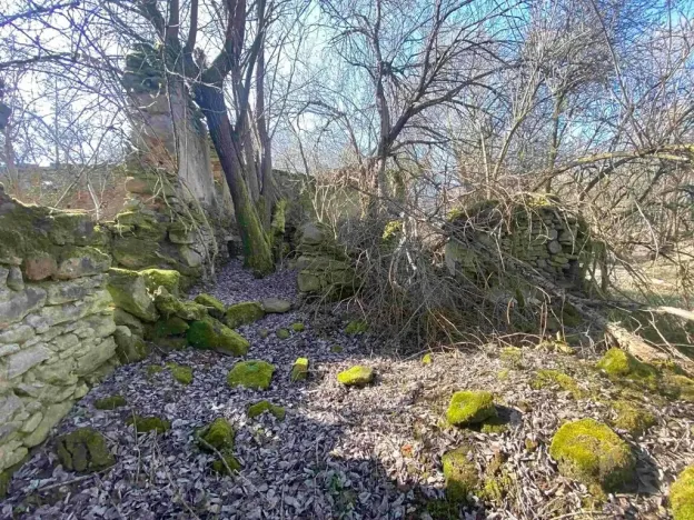 Dražba pozemku pro bydlení, Dolní Dvořiště, 11107 m2
