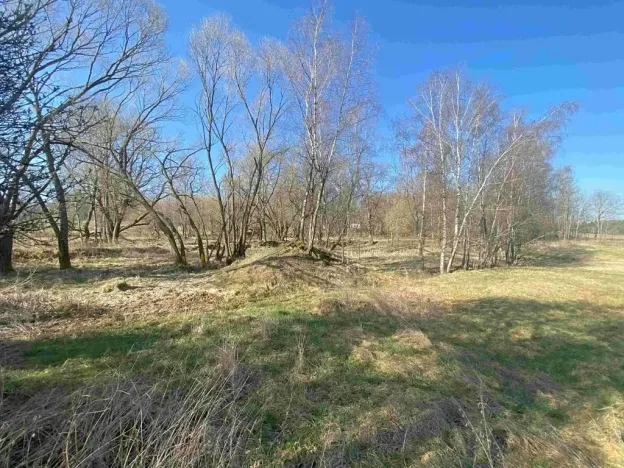Dražba pozemku pro bydlení, Dolní Dvořiště, 11107 m2
