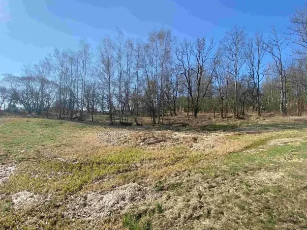 Dražba pozemku pro bydlení, Dolní Dvořiště, 11107 m2