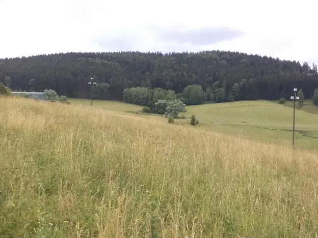Dražba pole, Staré Buky, 10957 m2