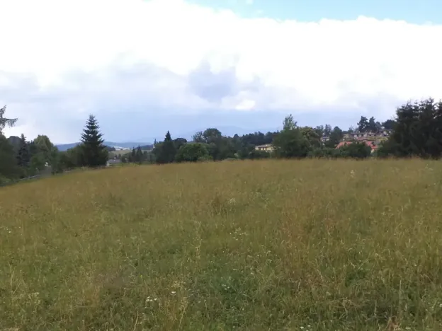 Dražba pole, Staré Buky, 10957 m2