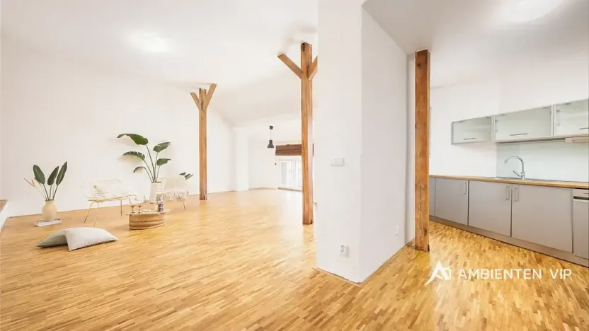Prodej bytu 4+kk, Brno, Čápkova, 141 m2
