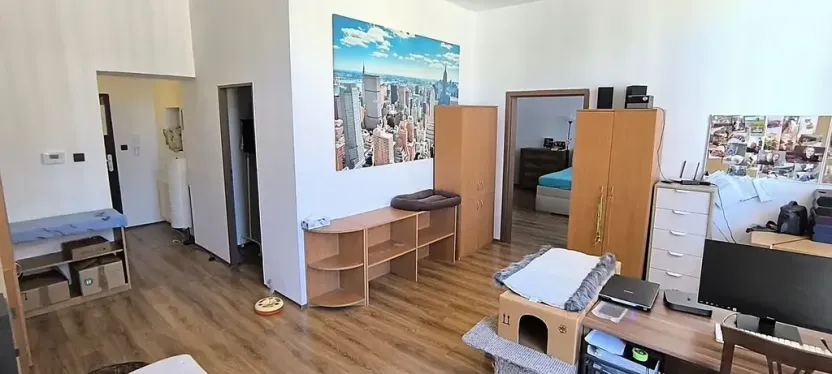 Prodej bytu 3+1, Cheb, Karlova, 126 m2