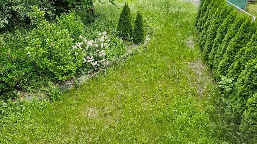 Pronájem obchodního prostoru, Bruntál, Nerudova, 60 m2