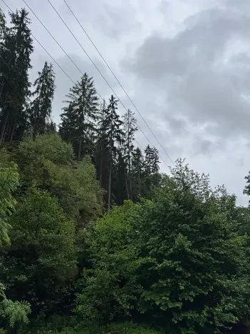 Prodej lesa, Železný Brod, 18900 m2