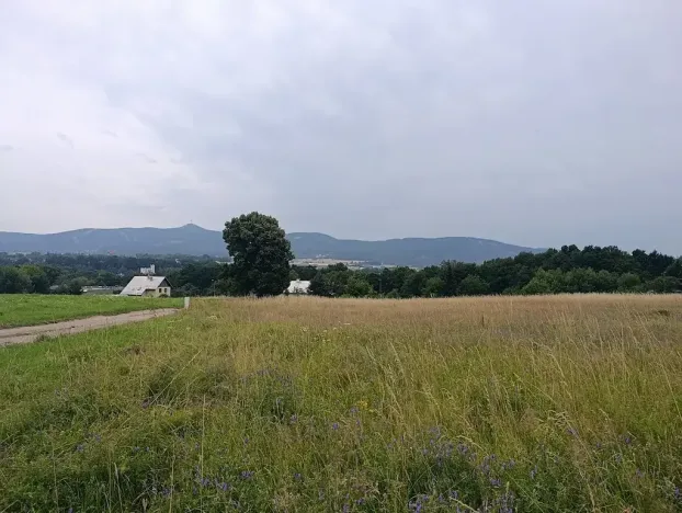 Prodej pozemku pro bydlení, Liberec, 2153 m2
