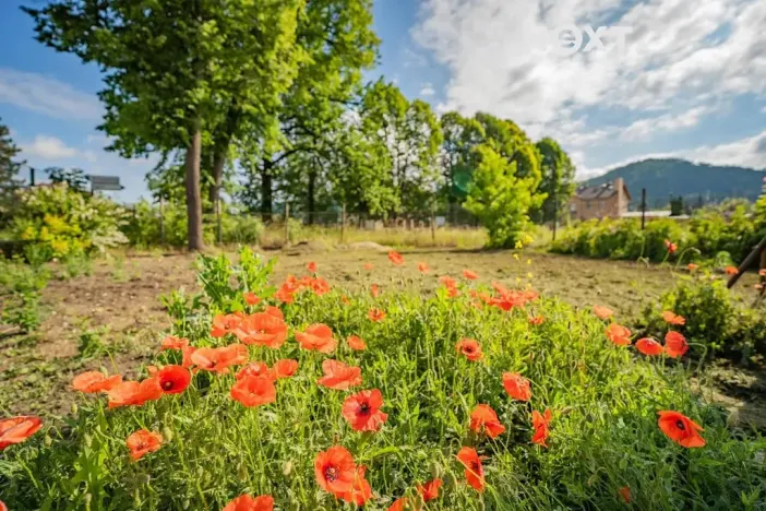 Prodej bytu 3+1, Moravská Třebová, Lanškrounská, 80 m2