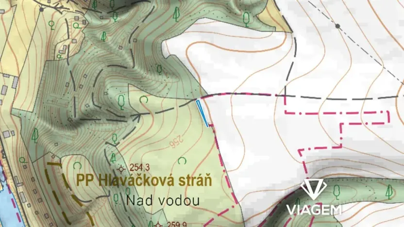 Prodej pole, Máslovice, 162 m2