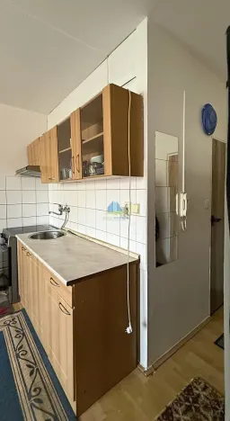 Prodej bytu 1+1, Plesná, Světlá, 35 m2