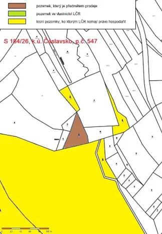 Prodej lesa, Čáslavsko, 2039 m2