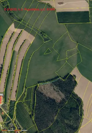 Prodej lesa, Červená Řečice, 1375 m2