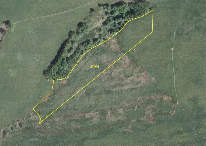 Prodej pozemku, Zdobnice, Souvlastní, 14437 m2