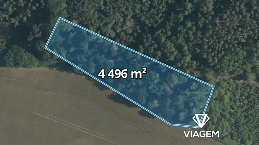 Prodej lesa, Sudovo Hlavno, 4496 m2