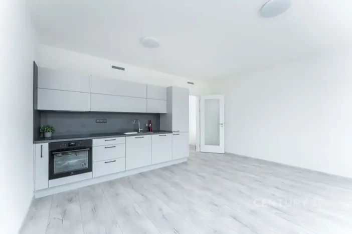 Pronájem bytu 1+kk, Praha, 38 m2