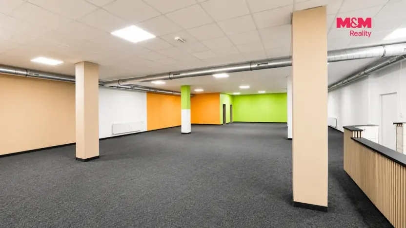 Pronájem kanceláře, Rychnov nad Kněžnou, Havlíčkova, 291 m2