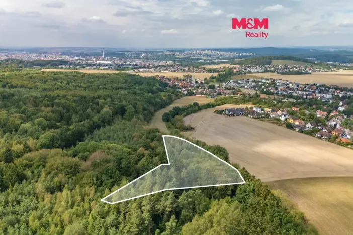 Prodej lesa, Plzeň - Červený Hrádek, 6522 m2