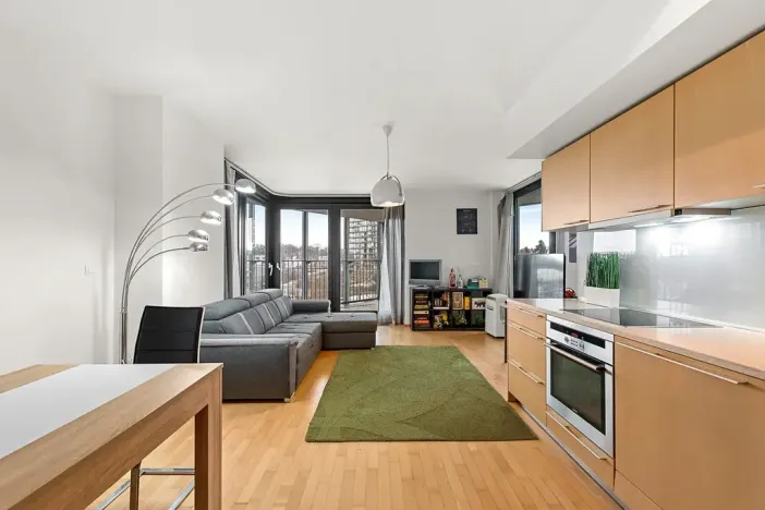 Prodej bytu 2+kk, Praha - Žižkov, Pitterova, 52 m2