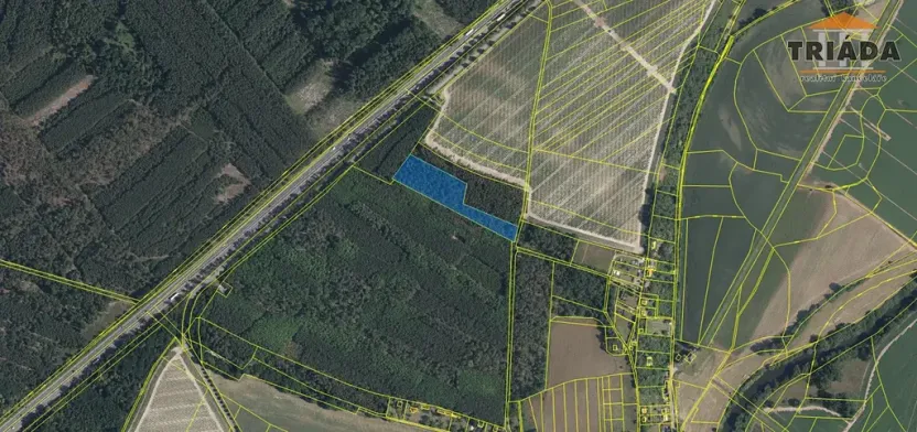 Prodej podílu lesa, Skorkov, 2180 m2