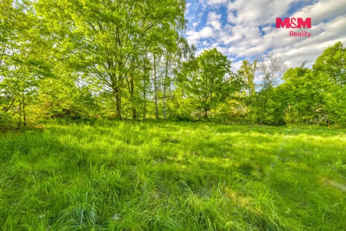 Prodej komerčního pozemku, Skalná, 1168 m2