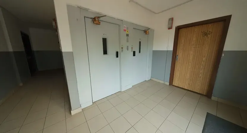 Prodej bytu 4+1, Praha - Žižkov, Pod lipami, 84 m2