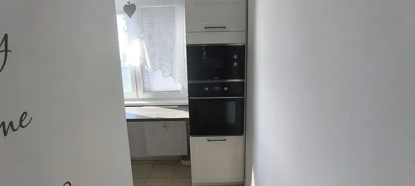 Pronájem bytu 2+1, Cheb, Dvořákova, 62 m2