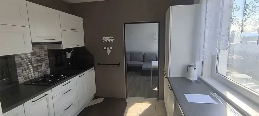 Pronájem bytu 2+1, Cheb, Dvořákova, 62 m2