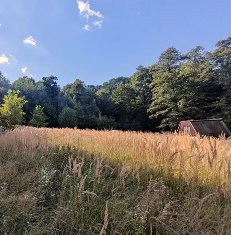Pronájem zahrady, Ostrava, Podvrší, 3278 m2