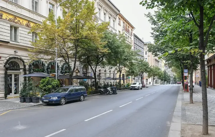 Pronájem bytu 3+kk, Praha - Vinohrady, Italská, 107 m2