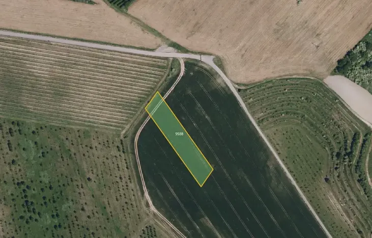 Prodej sadu/vinice, Kobylí, 17433 m2