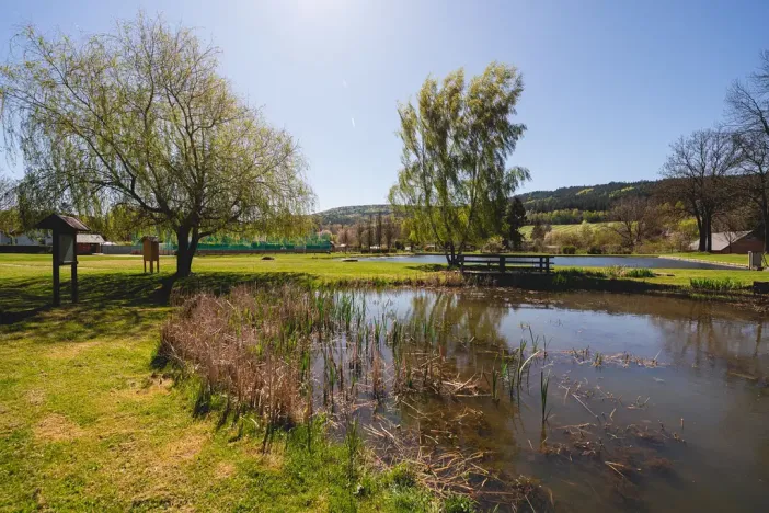 Prodej rodinného domu, Dešenice, 178 m2