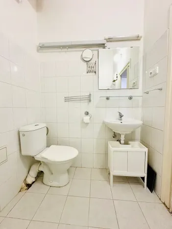Pronájem bytu 1+kk, Praha - Žižkov, Fibichova, 25 m2