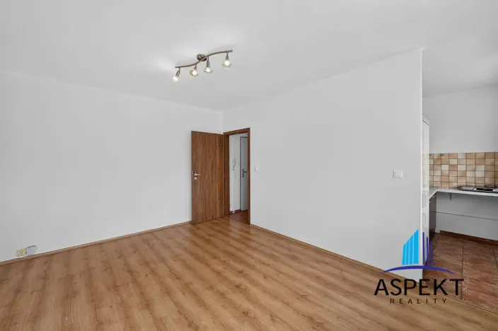 Pronájem bytu 1+kk, Praha - Podolí, Kaplická, 27 m2