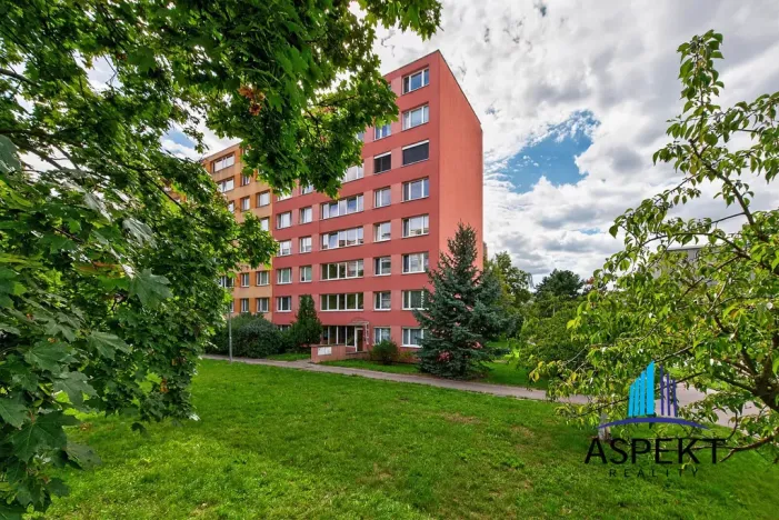 Pronájem bytu 1+kk, Praha - Podolí, Kaplická, 27 m2