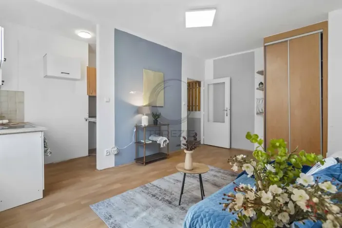 Prodej bytu 1+kk, Praha - Veleslavín, Na okraji, 25 m2