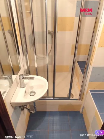 Pronájem bytu 1+kk, Ostrava - Krásné Pole, Družební, 41 m2